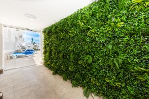 a wall covered in green plants in a living room at Toboso Apar - Turis in Nerja