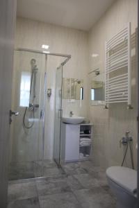 La salle de bains est pourvue d'une douche, de toilettes et d'un lavabo. dans l'établissement Glass Cube Hotel, à Chişinău