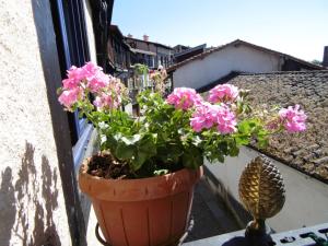 Fotografie z fotogalerie ubytování Apartamentos Azahar v destinaci Mogarraz