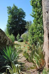 En trädgård utanför Quinta das Murteiras