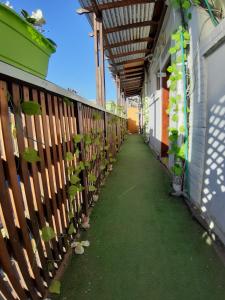 un corridoio con piante sul lato di un edificio di Star Guest- House a Or Yehuda