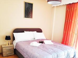 Posteľ alebo postele v izbe v ubytovaní Penthouse in center of sparta