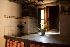 una cocina con fregadero con una planta en la encimera en El Molino de Yera, en Vega de Pas