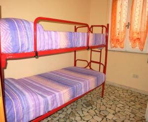 kilka łóżek piętrowych w pokoju w obiekcie Cortina 1-46 w mieście Lido di Pomposa