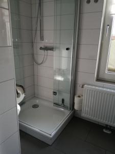 een douche met een glazen deur in een badkamer bij Steinmarner Bude 2 in Cuxhaven