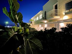 a building with a plant in front of it at night at Hotel Sole in Lampedusa