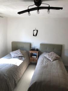 a bedroom with two beds and a ceiling fan at Green House in Baia de Fier +11 photos