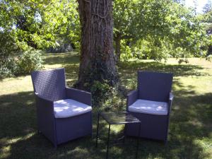 two chairs and a table in front of a tree at Wishing Well Garden Apartment in Wilmington