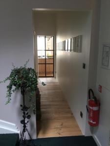 Fotografie z fotogalerie ubytování B&B Setola v Bruggách
