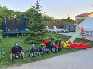 un grupo de juguetes sentados en el césped en un patio en Casa Ingrid, en Eforie Nord