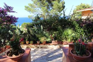 a bunch of potted plants sitting on a patio at CASA AL MARE A SCOPELLO in Scopello