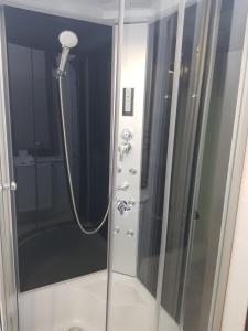 a shower with a glass door in a bathroom at Villa Lotus in Deva