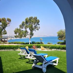 a group of lounge chairs sitting on the grass near the water at Governors Beach Costas Apts in Governor's Beach