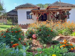 un jardin fleuri devant une maison dans l'établissement Seosko domaćinstvo „GABAR”, à Ćuštica