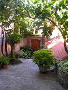 ogród z doniczkami i drewnianymi drzwiami w obiekcie Villa Magnolia w mieście Cavtat