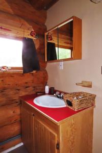 un bagno con lavandino in una baita di tronchi di Rocky Ridge Resort-BC a Smithers