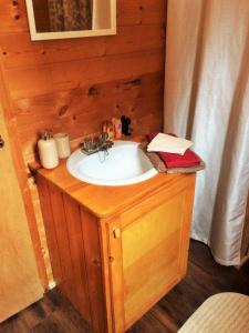 baño con lavabo en una habitación en Rocky Ridge Resort-BC en Smithers