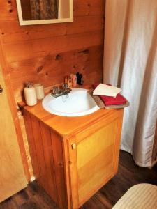 a bathroom with a sink in a room at Rocky Ridge Resort-BC in Smithers