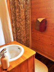 uma casa de banho com um lavatório e um chuveiro em Rocky Ridge Resort-BC em Smithers