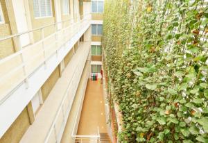 un edificio de oficinas con una pared verde con plantas en Hotel Thama, en Palmira