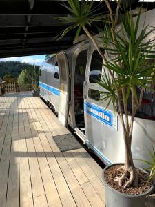 a train station with a palm tree next to a train at Stella the Excella in Russell