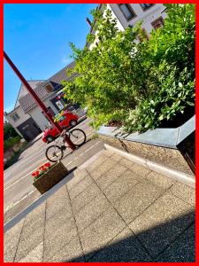a red bike parked on a sidewalk next to a tree at Résidence des lentilles in Schiltigheim