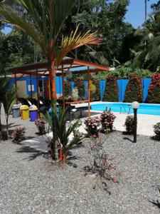 un resort con piscina e palma di Puerto Vargas lodge a Cahuita