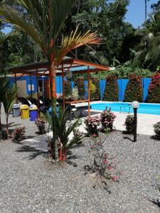 Bazén v ubytování Puerto Vargas lodge nebo v jeho okolí