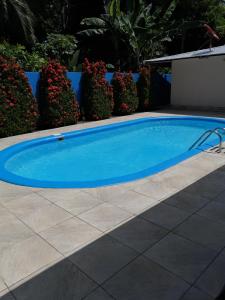 Bazén v ubytování Puerto Vargas lodge nebo v jeho okolí