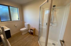 a bathroom with a toilet and a glass shower at Ribbonwood Cottage in Lake Tekapo