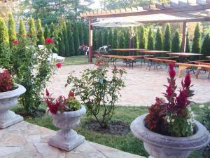 Aed väljaspool majutusasutust Vila Madams - Palić-Serbia