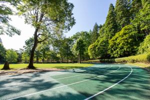 Attività di tennis o squash presso l'hotel o nelle vicinanze