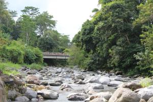 a bridge over a river with rocks and trees at Pondok Tepi Sungai in Sidemen