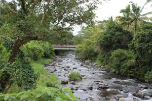 Imagen de la galería de Pondok Tepi Sungai, en Sidemen