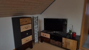 TV a/nebo společenská místnost v ubytování gemütliches Appartement mit Wohnküche und Balkon