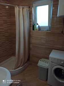 a bathroom with a shower and a washing machine at Apartman Mima in Banja Luka