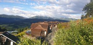 una fila de casas con montañas en el fondo en New and Exclusive Cottage in Voss with a great view, en Skulestadmo