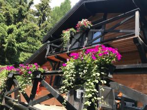 a cabin with flowers on the window sill at Chalet Račkova dolina in Pribylina