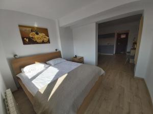 波亞納布拉索夫的住宿－蒙大拿公寓，一间卧室,卧室内配有一张大床