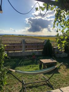 Příroda nedaleko bed and breakfast