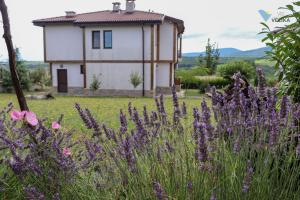 Příroda nedaleko bed and breakfast