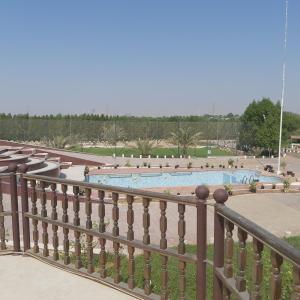 Вид на бассейн в Al Maha Farm или окрестностях