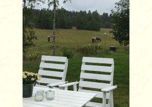 Deux chaises blanches et une table dans un champ avec des chevaux dans l'établissement Lillstugan Elofstorp, à Kristinehamn