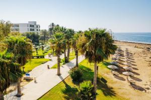 widok na plażę z palmami i budynek w obiekcie Louis Imperial Beach w Pafos