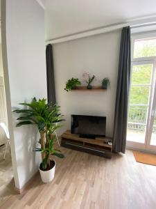 een woonkamer met een televisie en een plant bij Ferienwohnung König Georg in Wurzen