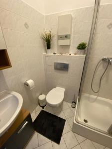 een badkamer met een toilet, een wastafel en een douche bij Ferienwohnung König Georg in Wurzen