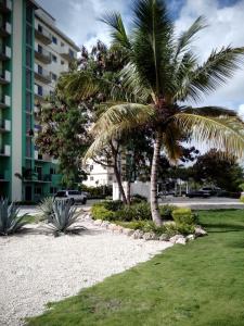 a palm tree in a park next to a building at Maggy's House in La Romana