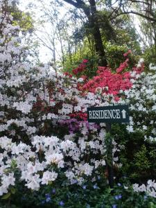 a sign in a bed of flowers in a garden at Emafweni in Champagne Valley