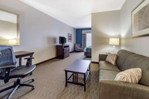 TV a/nebo společenská místnost v ubytování Comfort Inn & Suites Oklahoma City West - I-40