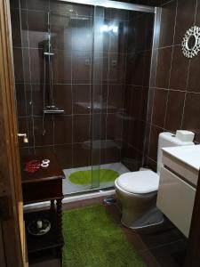 a bathroom with a shower with a toilet and a green rug at Casa do Javali in Bragança